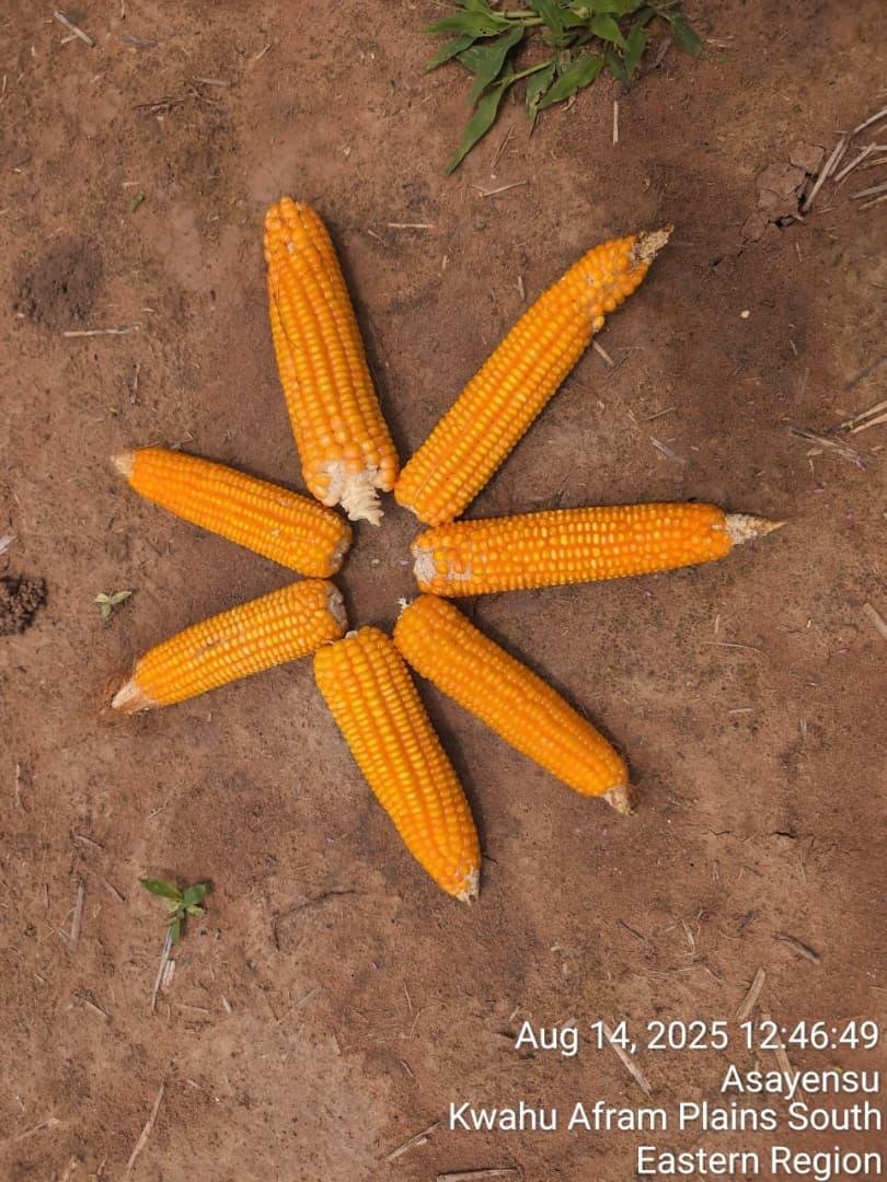 WhatsApp Image 2026-02-23 at 14.52.57 (1)