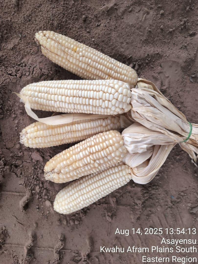 WhatsApp Image 2026-02-23 at 14.52.57