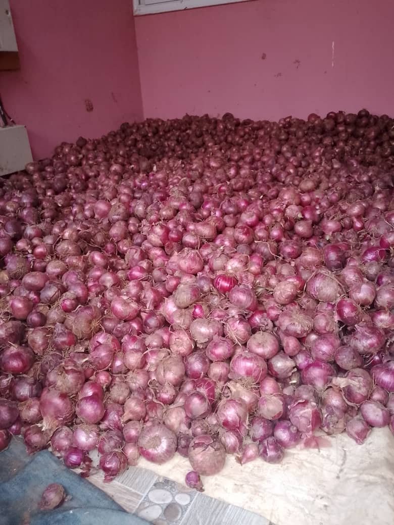 WhatsApp Image 2026-02-23 at 14.52.57