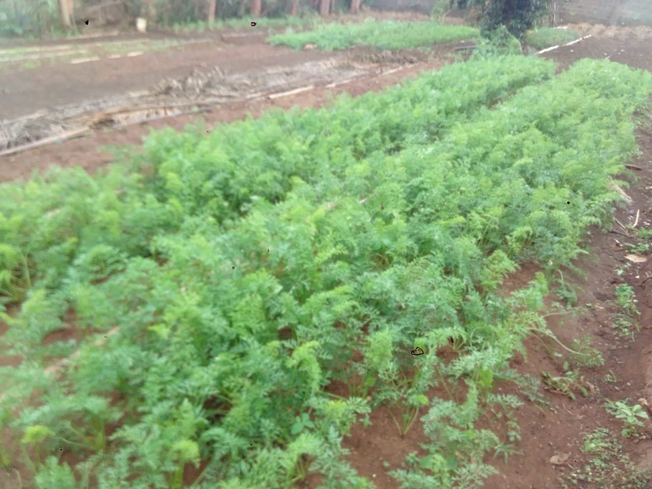 WhatsApp Image 2026-03-05 at 12.39.44 (1)