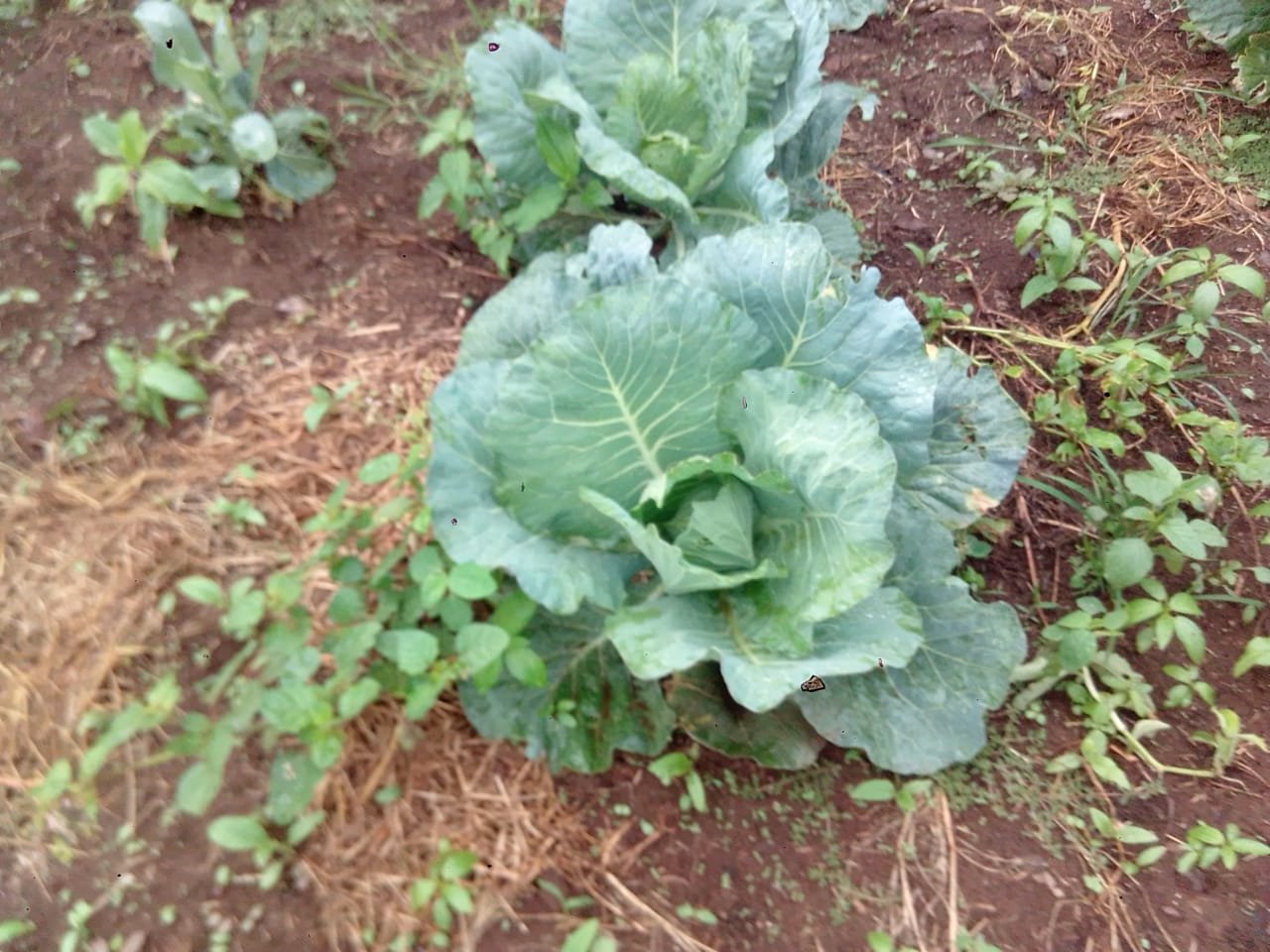 WhatsApp Image 2026-03-05 at 12.39.44 (2)