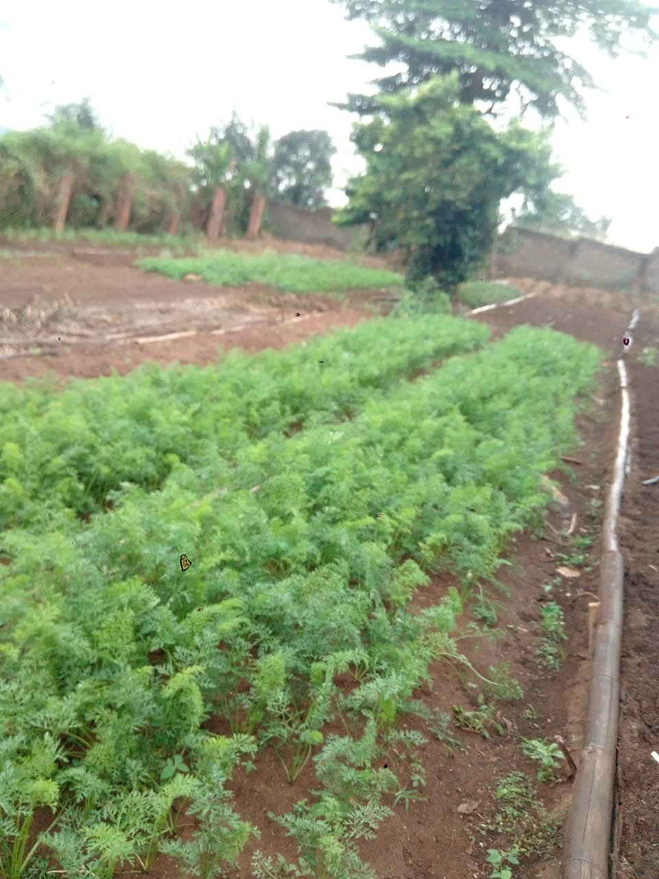 WhatsApp Image 2026-03-05 at 12.39.44 (4)